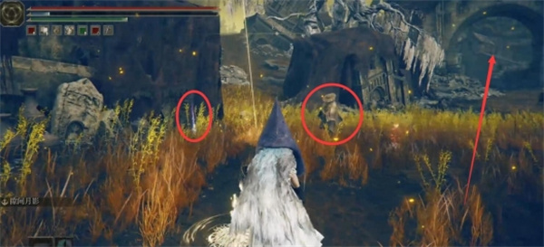 艾尔登法环幽影树碎片收集攻略(图11)