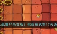 《植物大战僵尸杂交版》挑战模式第17关通关攻略