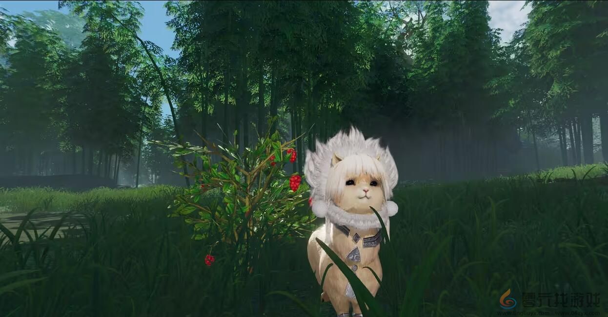 剑网3解心语宠物奇遇攻略(图3)